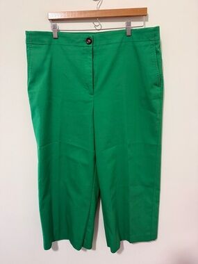 Ann Taylor Green Cropped Wide-Leg Pants